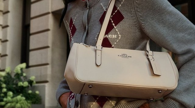 Coach Outlet Ashton and Asher Shoulder Bag