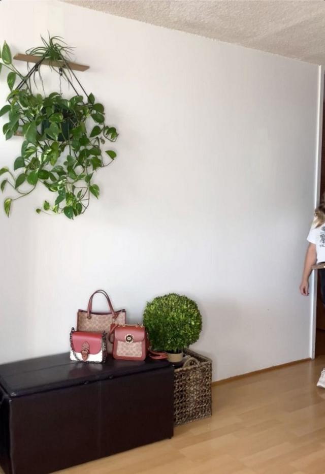 COACH® Outlet | Kleo Backpack In Signature Canvas display picture 3